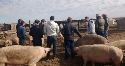 Productores Porcinos visitaron un Criadero en General Pico