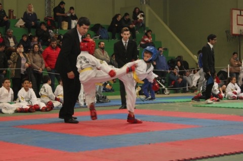 Se realizó el primer Torneo Regional Interno de Taekwondo