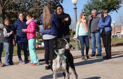 Hernández acompañó la vacunación canina en la Plaza Principal