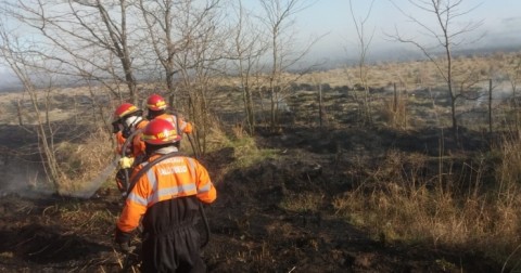 Bomberos Voluntarios sofocaron incendios forestales
