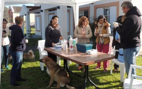 Comenzó en Quenumá la vacunación canina