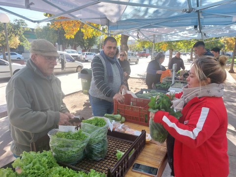 Se afianza la venta de verduras de producción local