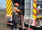 Bomberos evitaron que un siniestro afecte maíz sin cosechar