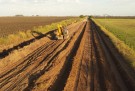 Continúan los trabajos en los caminos rurales