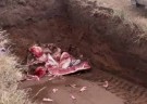 Detectaron un caso de triquinosis positiva en una faena familiar