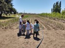 Alumnos del Jardín de Infantes 903 visitaron el Vivero Municipal