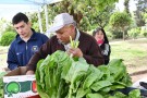 Se repetirá periódicamente la Feria de Verduras de Producción Local 