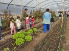 Alumnos del Jardín de Infantes 903 visitaron el Vivero Municipal