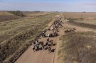 Anga Irú realizó su tercera cabalgata hacia Pehuelches