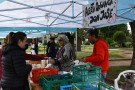 Se repetirá periódicamente la Feria de Verduras de Producción Local 