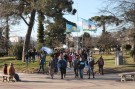 El banderazo convocó a más de un centenar de manifestantes