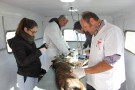 Se puso en marcha el Quirófano Móvil de mascotas