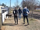 Continúa la vacunación antirrábica para perros y gatos