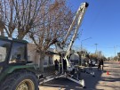 Segunda etapa del curso de poda y capacitación en arbolado urbano