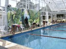 Se disputó el “Torneo de Natación 6 Ciudades” en Tres Lomas