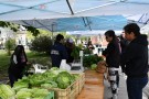 Se repetirá periódicamente la Feria de Verduras de Producción Local 