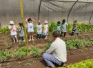 Alumnos del Jardín de Infantes 903 visitaron el Vivero Municipal