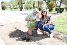 Nueva edición de “Nace un niño, nace un árbol” en Quenumá