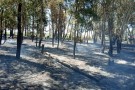 Incendio de monte y vuelco sobre Ruta Nacional N° 5