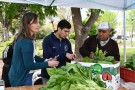 Se repetirá periódicamente la Feria de Verduras de Producción Local 