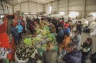 La Planta de RSU abrió sus puertas para recibir visitas