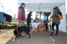 Se puso en marcha el Quirófano Móvil de mascotas