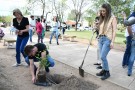 Nueva edición de “Nace un niño, nace un árbol” en Quenumá