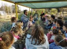 Alumnos de la Escuela Primaria 7 visitaron el Vivero Municipal