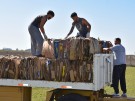 Tres Lomas realizó su primera venta de material reciclado