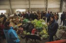 La Planta de RSU abrió sus puertas para recibir visitas
