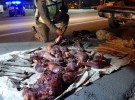 Secuestraron carne de ñandúes y liebres cazadas en la zona de Salliqueló 