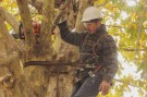 Dictaron el curso de poda y capacitación en arbolado urbano