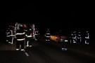 Un automóvil colisionó contra un jabalí en Ruta 85