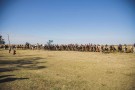 Anga Irú realizó su tercera cabalgata hacia Pehuelches