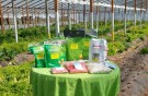 Entregaron semillas a productores hortícolas 