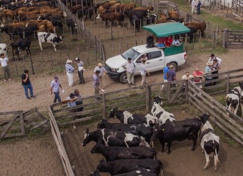 Bermejo & CIA Consignatarios anunció un nuevo Remate Feria