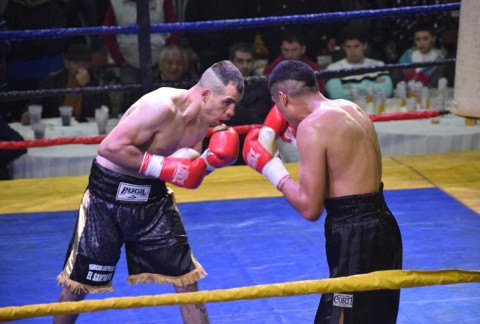 Festival de boxeo profesional y amateur