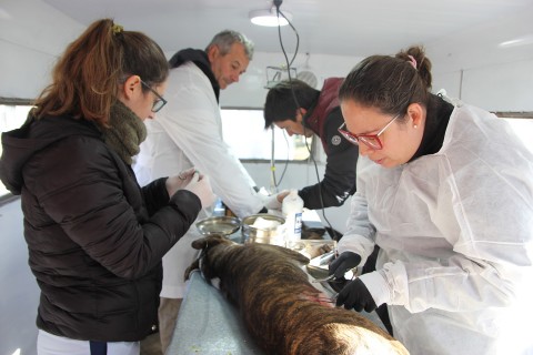 Jornada del Quirófano Móvil en el barrio San Martín