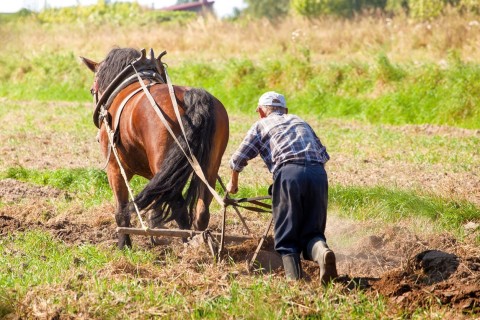 Inauguran la muestra “Agricultores treslomeneses”