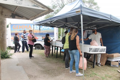 Este jueves atiende el camión de pescados a precios populares