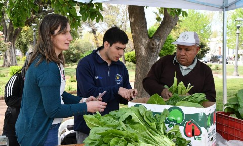 Nueva feria de venta de verduras de producción local