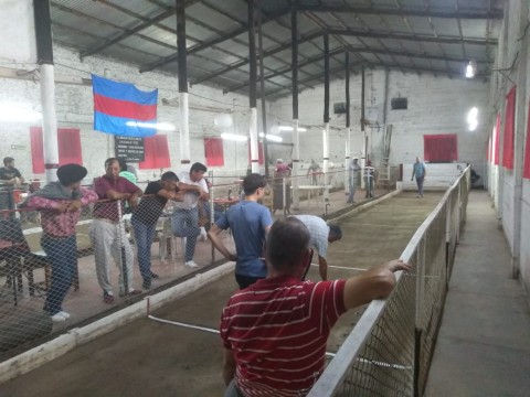 Se juega la Final del Torneo de Bochas