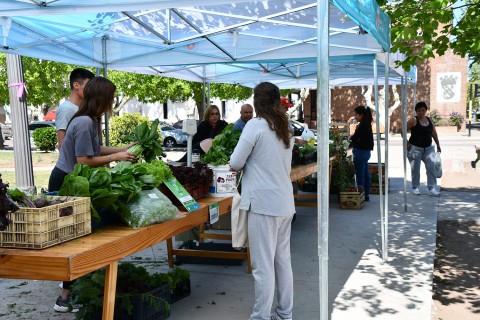 La feria de verduras funcionó nuevamente en la Plaza Principal