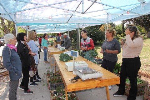 Este jueves, funcionará nuevamente la feria de verduras