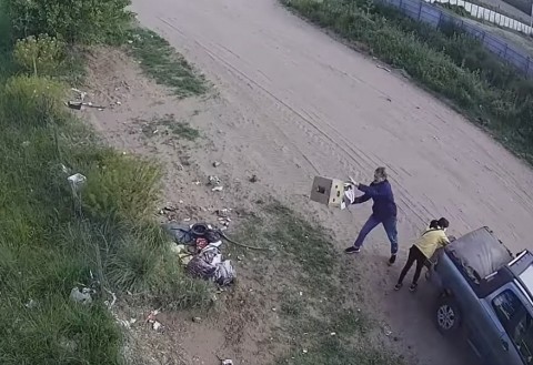 Dos personas quedaron registradas arrojando basura en la vía pública