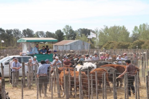 Bermejo & CIA Consignatarios anunció su Remate Feria