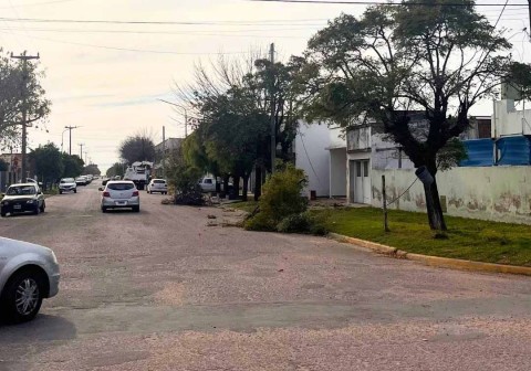 Continúan los trabajos de poda preventiva