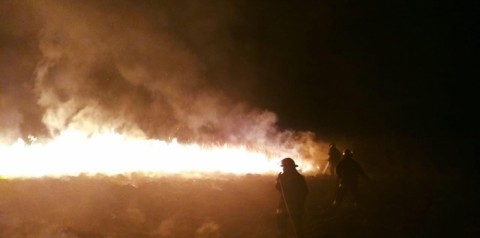 Incendio rural en cercanías de Quenumá