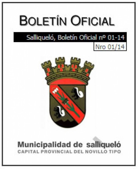 El municipio publicó el Boletín Oficial en su sitio web