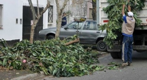 Solicitan no sacar la basura resultante de la limpieza de patios y baldíos 